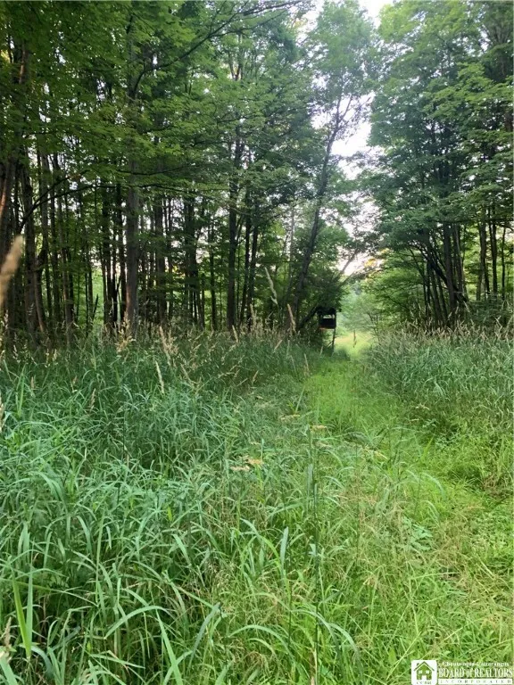 5113 Maple Springs Ellery Rd Road, Ellery, New Yor, Ellery, New York 14712, 5 Bedrooms Bedrooms, 13 Rooms Rooms,3 BathroomsBathrooms,Residential,For Sale,5113 Maple Springs Ellery Rd Road, Ellery, New Yor,R1620242