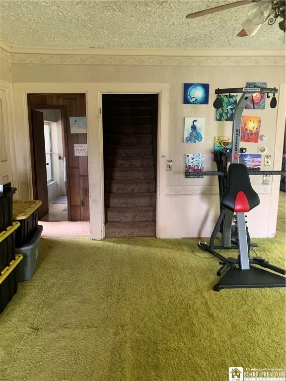 5113 Maple Springs Ellery Rd Road, Ellery, New Yor, Ellery, New York 14712, 5 Bedrooms Bedrooms, 13 Rooms Rooms,3 BathroomsBathrooms,Residential,For Sale,5113 Maple Springs Ellery Rd Road, Ellery, New Yor,R1620242