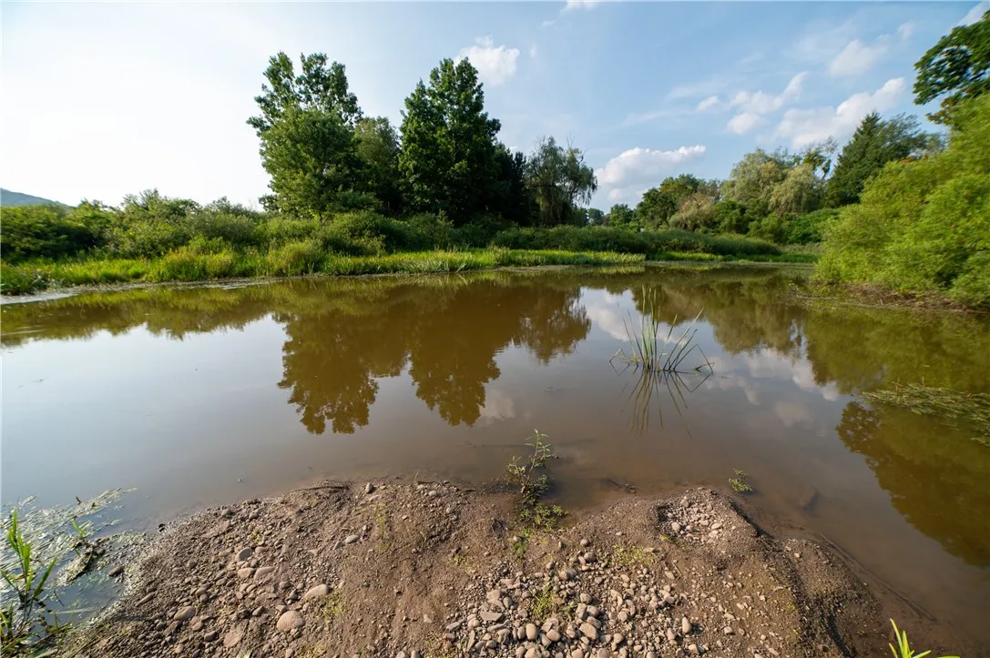 769 County Highway 1, Unadilla, New York 13809, Unadilla, New York 13809, ,Commercial Sale,For Sale,769 County Highway 1, Unadilla, New York 13809,R1623815