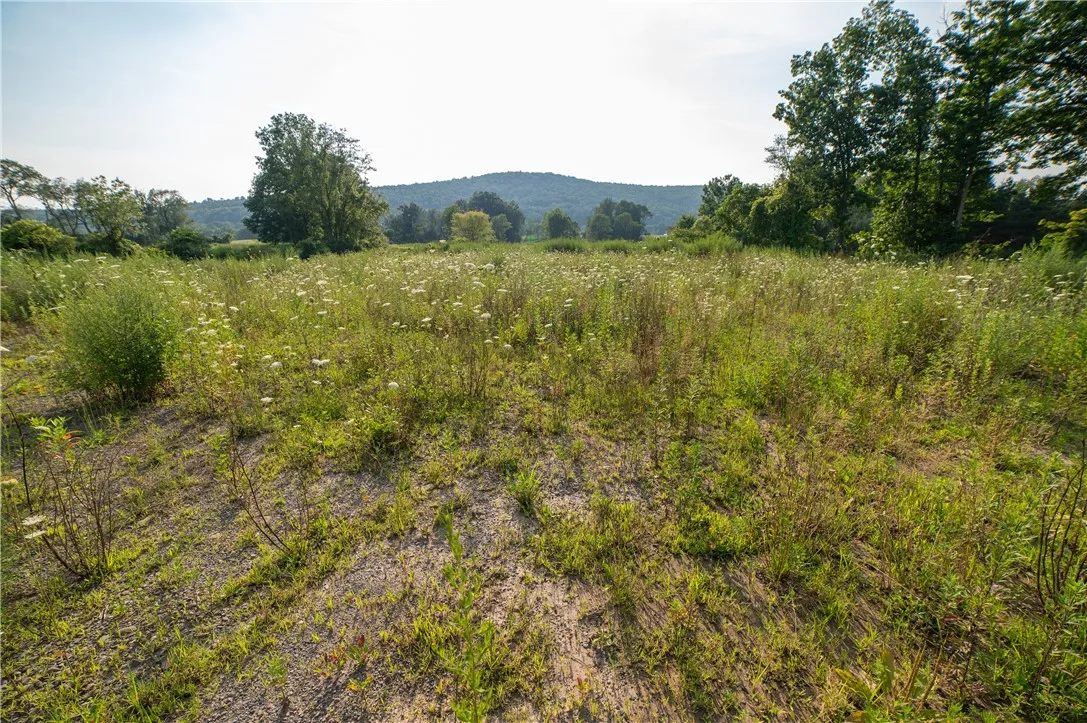 769 County Highway 1, Unadilla, New York 13809, Unadilla, New York 13809, ,Commercial Sale,For Sale,769 County Highway 1, Unadilla, New York 13809,R1623815