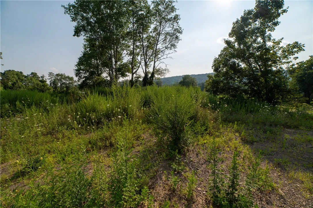 769 County Highway 1, Unadilla, New York 13809, Unadilla, New York 13809, ,Commercial Sale,For Sale,769 County Highway 1, Unadilla, New York 13809,R1623815