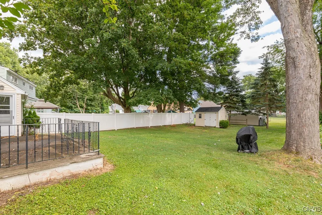 Another view of the backyard.