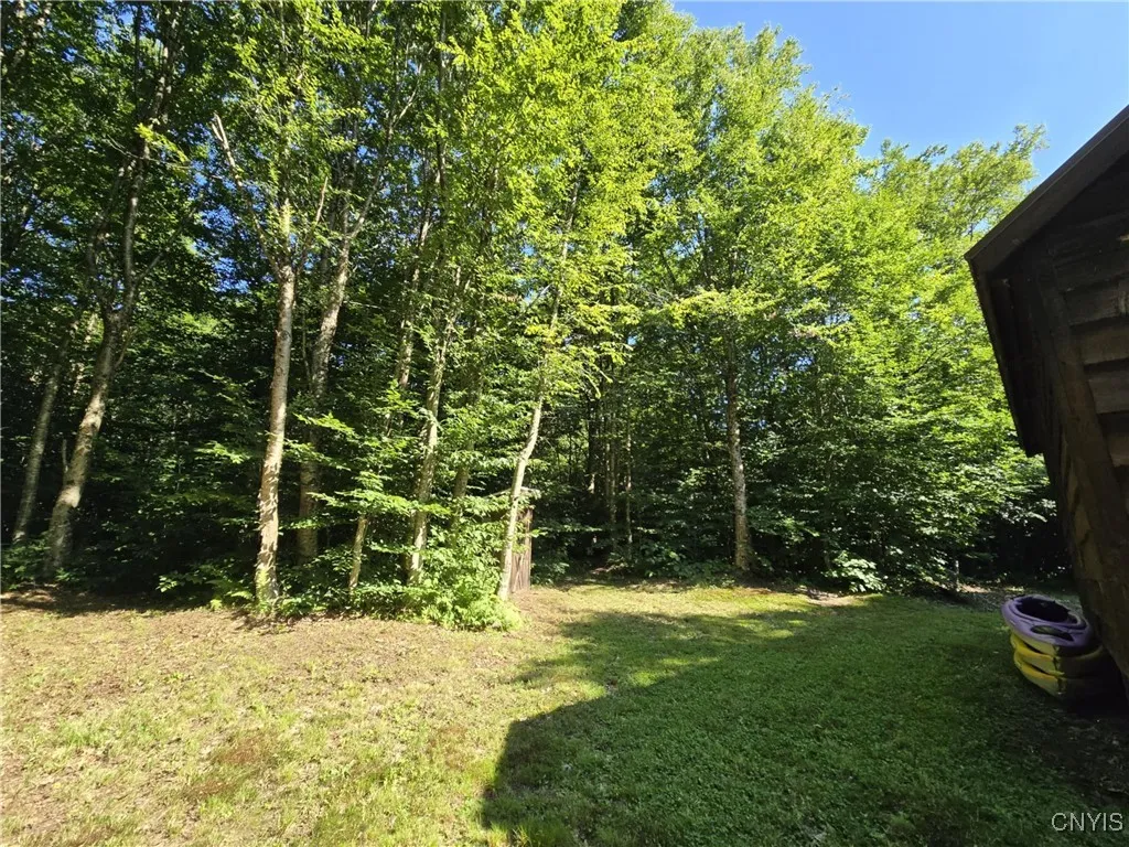 2985 Potter Road, Osceola, New York 13437, Osceola, New York 13437, 1 Bedroom Bedrooms, ,1 BathroomBathrooms,Land,For Sale,2985 Potter Road, Osceola, New York 13437,S1623951