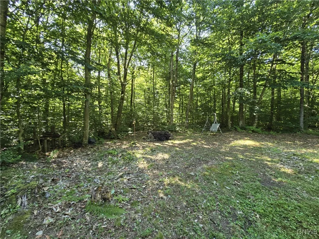2985 Potter Road, Osceola, New York 13437, Osceola, New York 13437, 1 Bedroom Bedrooms, ,1 BathroomBathrooms,Land,For Sale,2985 Potter Road, Osceola, New York 13437,S1623951