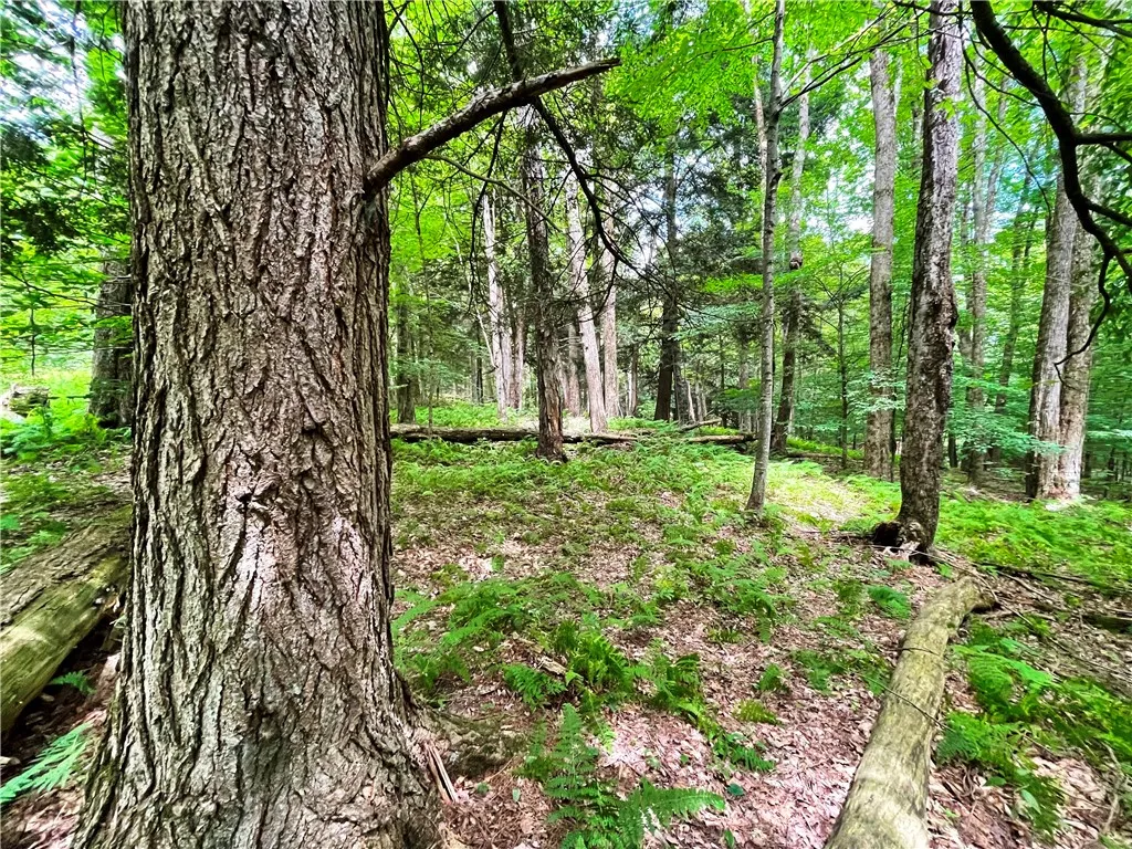 6039 State Highway 23, New Berlin, New York 13843, New Berlin, New York 13843, 3 Bedrooms Bedrooms, 4 Rooms Rooms,1 BathroomBathrooms,Residential,For Sale,6039 State Highway 23, New Berlin, New York 13843,R1623958