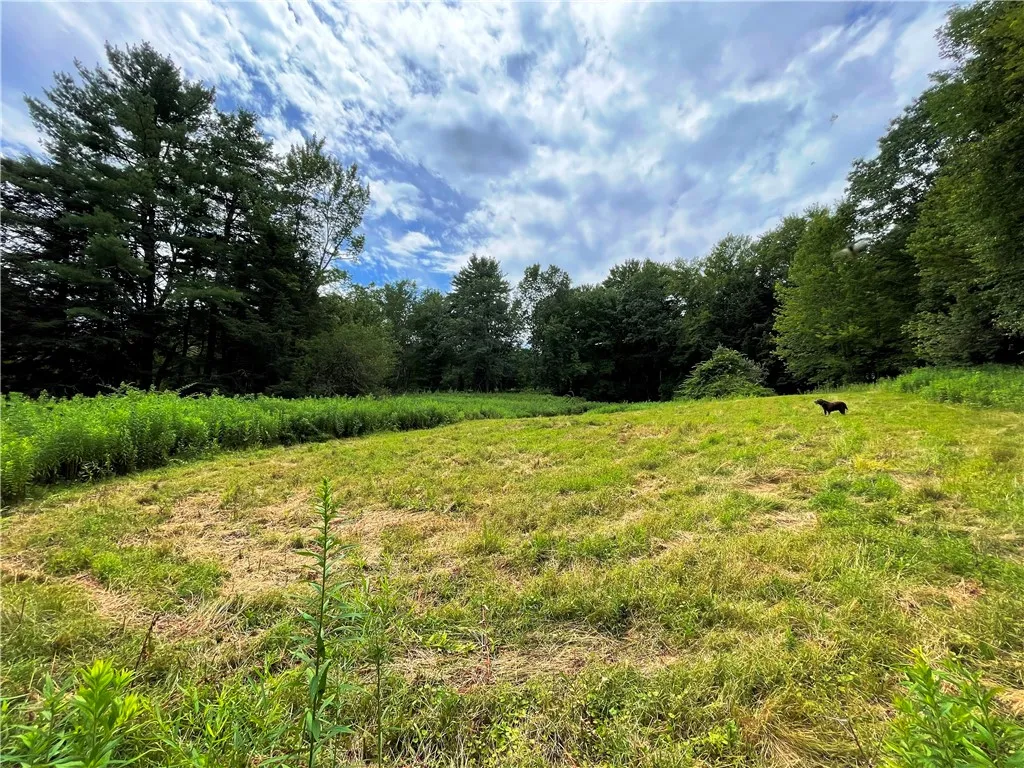 6039 State Highway 23, New Berlin, New York 13843, New Berlin, New York 13843, 3 Bedrooms Bedrooms, 4 Rooms Rooms,1 BathroomBathrooms,Residential,For Sale,6039 State Highway 23, New Berlin, New York 13843,R1623958