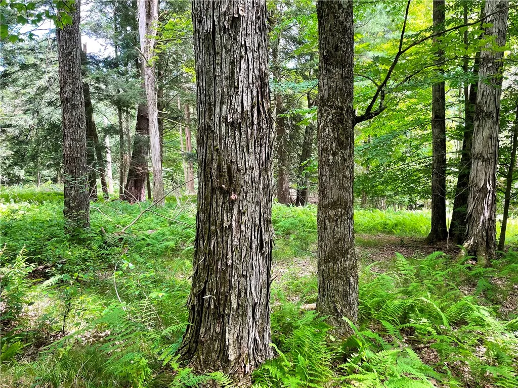 6039 State Highway 23, New Berlin, New York 13843, New Berlin, New York 13843, 3 Bedrooms Bedrooms, 4 Rooms Rooms,1 BathroomBathrooms,Residential,For Sale,6039 State Highway 23, New Berlin, New York 13843,R1623958