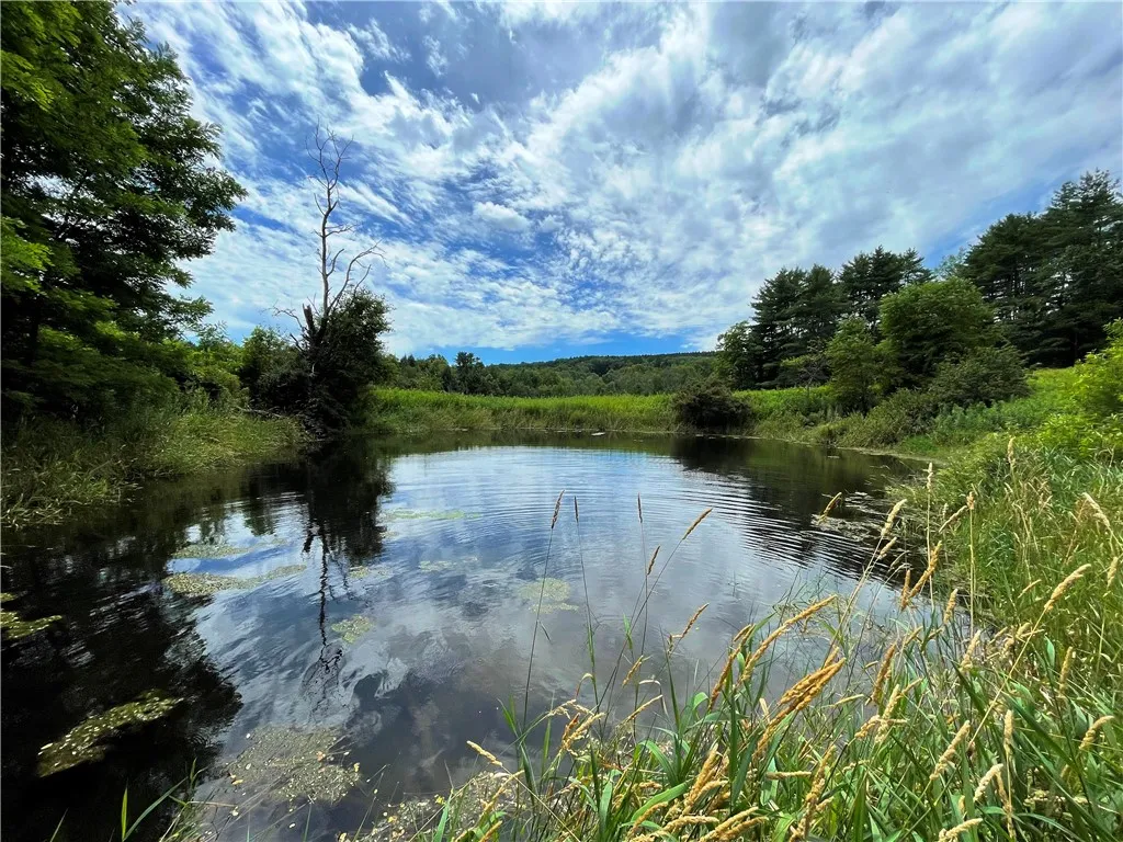 6039 State Highway 23, New Berlin, New York 13843, New Berlin, New York 13843, 3 Bedrooms Bedrooms, 4 Rooms Rooms,1 BathroomBathrooms,Residential,For Sale,6039 State Highway 23, New Berlin, New York 13843,R1623958
