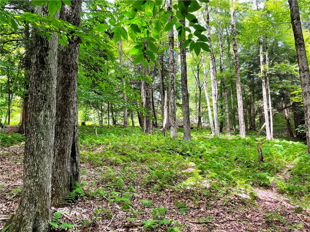 6039 State Highway 23, New Berlin, New York 13843, New Berlin, New York 13843, 3 Bedrooms Bedrooms, 4 Rooms Rooms,1 BathroomBathrooms,Residential,For Sale,6039 State Highway 23, New Berlin, New York 13843,R1623958