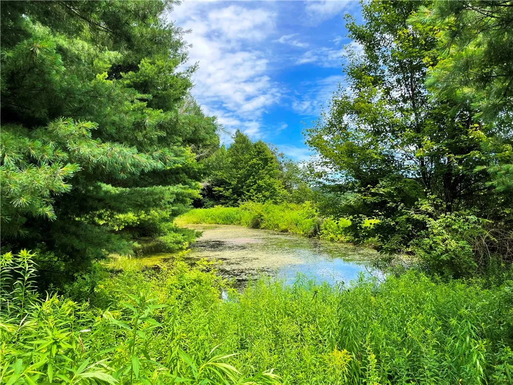 6039 State Highway 23, New Berlin, New York 13843, New Berlin, New York 13843, 3 Bedrooms Bedrooms, 4 Rooms Rooms,1 BathroomBathrooms,Residential,For Sale,6039 State Highway 23, New Berlin, New York 13843,R1623958