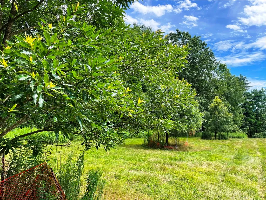 6039 State Highway 23, New Berlin, New York 13843, New Berlin, New York 13843, 3 Bedrooms Bedrooms, 4 Rooms Rooms,1 BathroomBathrooms,Residential,For Sale,6039 State Highway 23, New Berlin, New York 13843,R1623958