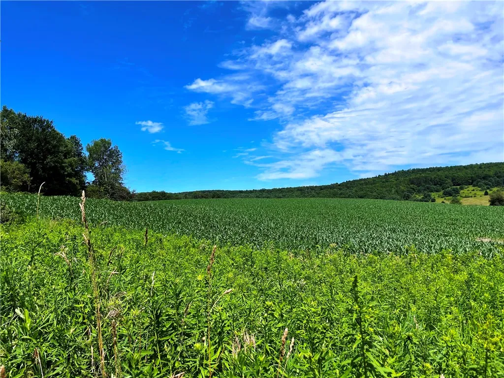 6039 State Highway 23, New Berlin, New York 13843, New Berlin, New York 13843, 3 Bedrooms Bedrooms, 4 Rooms Rooms,1 BathroomBathrooms,Residential,For Sale,6039 State Highway 23, New Berlin, New York 13843,R1623958