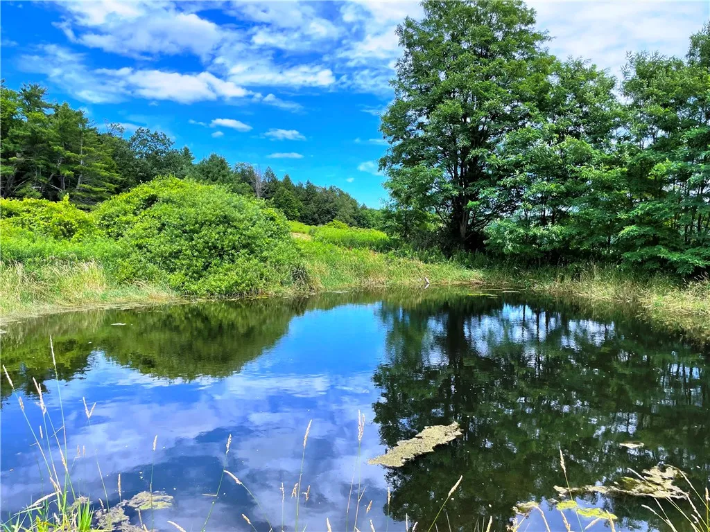 6039 State Highway 23, New Berlin, New York 13843, New Berlin, New York 13843, 3 Bedrooms Bedrooms, 4 Rooms Rooms,1 BathroomBathrooms,Residential,For Sale,6039 State Highway 23, New Berlin, New York 13843,R1623958