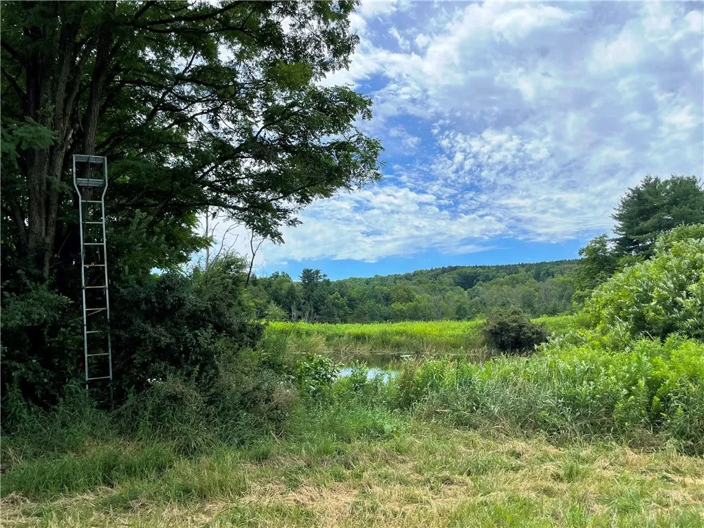 6039 State Highway 23, New Berlin, New York 13843, New Berlin, New York 13843, 3 Bedrooms Bedrooms, 4 Rooms Rooms,1 BathroomBathrooms,Residential,For Sale,6039 State Highway 23, New Berlin, New York 13843,R1623958