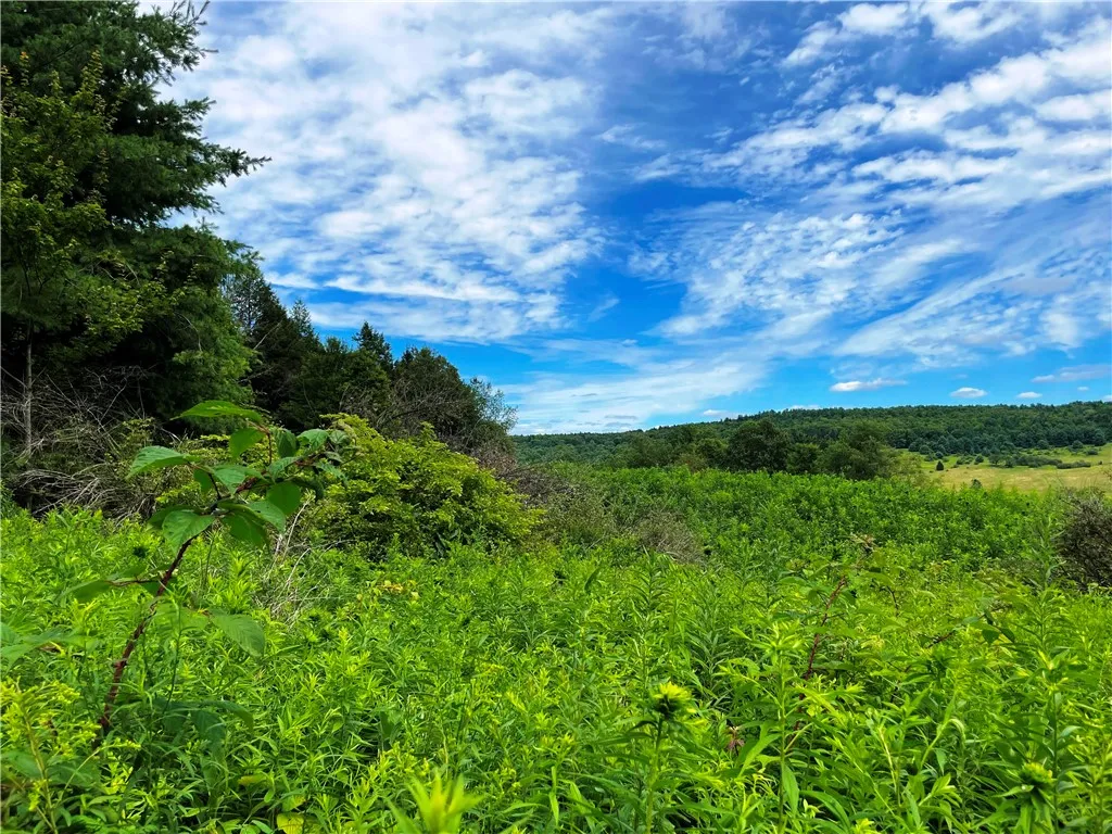 6039 State Highway 23, New Berlin, New York 13843, New Berlin, New York 13843, 3 Bedrooms Bedrooms, 4 Rooms Rooms,1 BathroomBathrooms,Residential,For Sale,6039 State Highway 23, New Berlin, New York 13843,R1623958