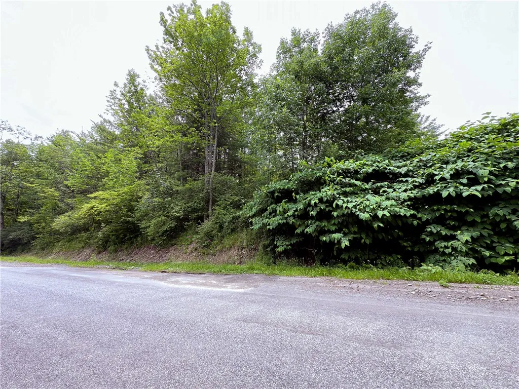 Sheff Road, New Berlin, New York 13843, New Berlin, New York 13843, ,Land,For Sale,Sheff Road, New Berlin, New York 13843,R1623995