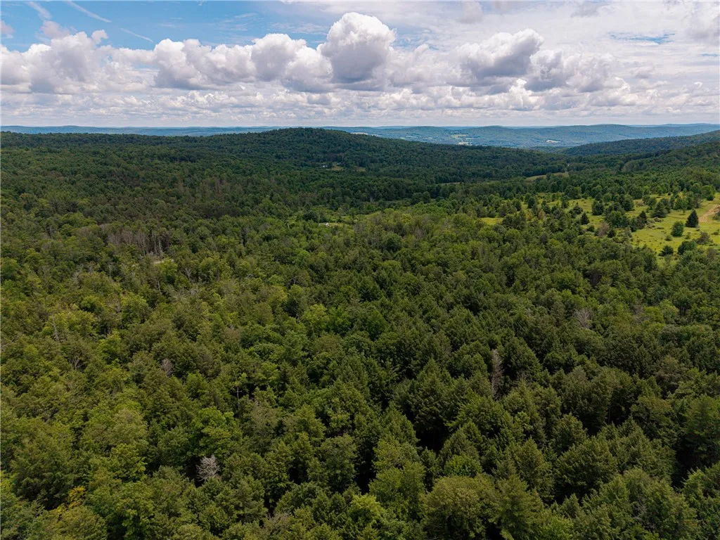 Sheff Road, New Berlin, New York 13843, New Berlin, New York 13843, ,Land,For Sale,Sheff Road, New Berlin, New York 13843,R1623995