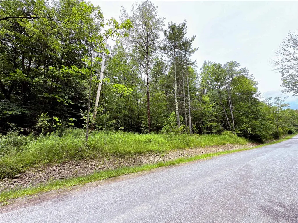 Sheff Road, New Berlin, New York 13843, New Berlin, New York 13843, ,Land,For Sale,Sheff Road, New Berlin, New York 13843,R1623995
