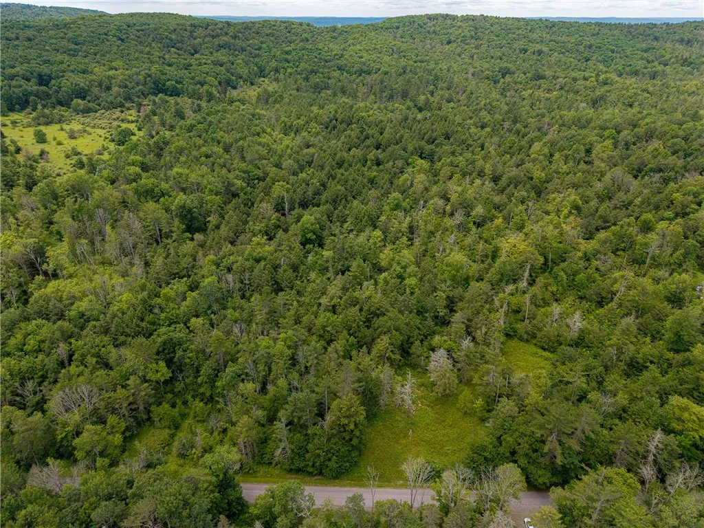 Sheff Road, New Berlin, New York 13843, New Berlin, New York 13843, ,Land,For Sale,Sheff Road, New Berlin, New York 13843,R1623995