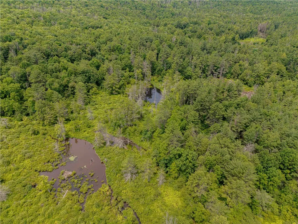 Sheff Road, New Berlin, New York 13843, New Berlin, New York 13843, ,Land,For Sale,Sheff Road, New Berlin, New York 13843,R1623995