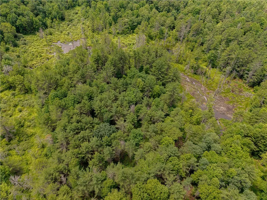 Sheff Road, New Berlin, New York 13843, New Berlin, New York 13843, ,Land,For Sale,Sheff Road, New Berlin, New York 13843,R1623995