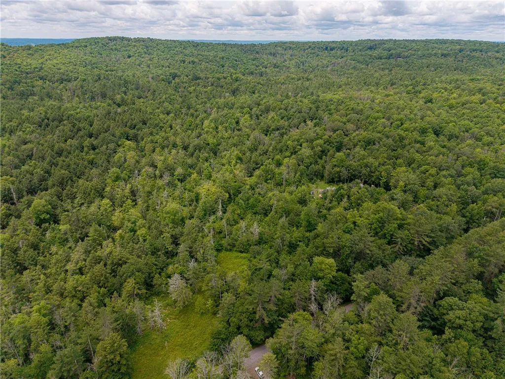 Sheff Road, New Berlin, New York 13843, New Berlin, New York 13843, ,Land,For Sale,Sheff Road, New Berlin, New York 13843,R1623995