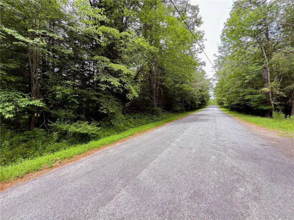 Sheff Road, New Berlin, New York 13843, New Berlin, New York 13843, ,Land,For Sale,Sheff Road, New Berlin, New York 13843,R1623995