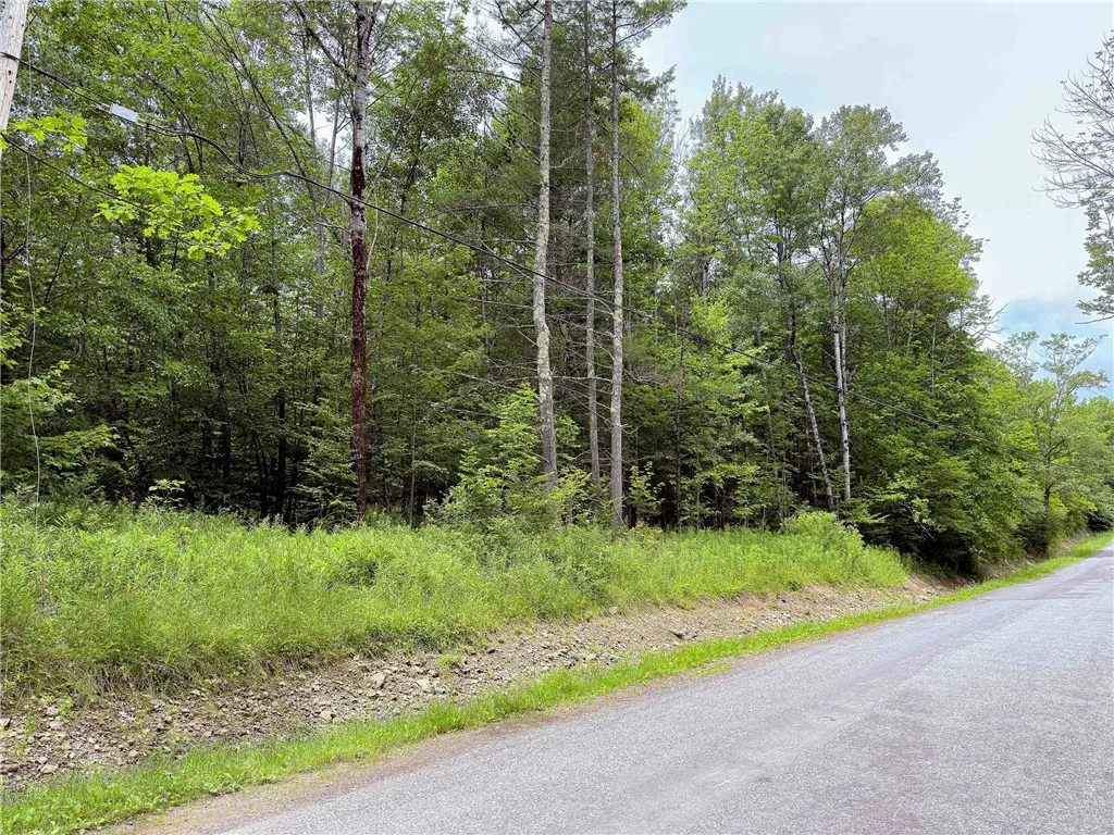 Sheff Road, New Berlin, New York 13843, New Berlin, New York 13843, ,Land,For Sale,Sheff Road, New Berlin, New York 13843,R1623995