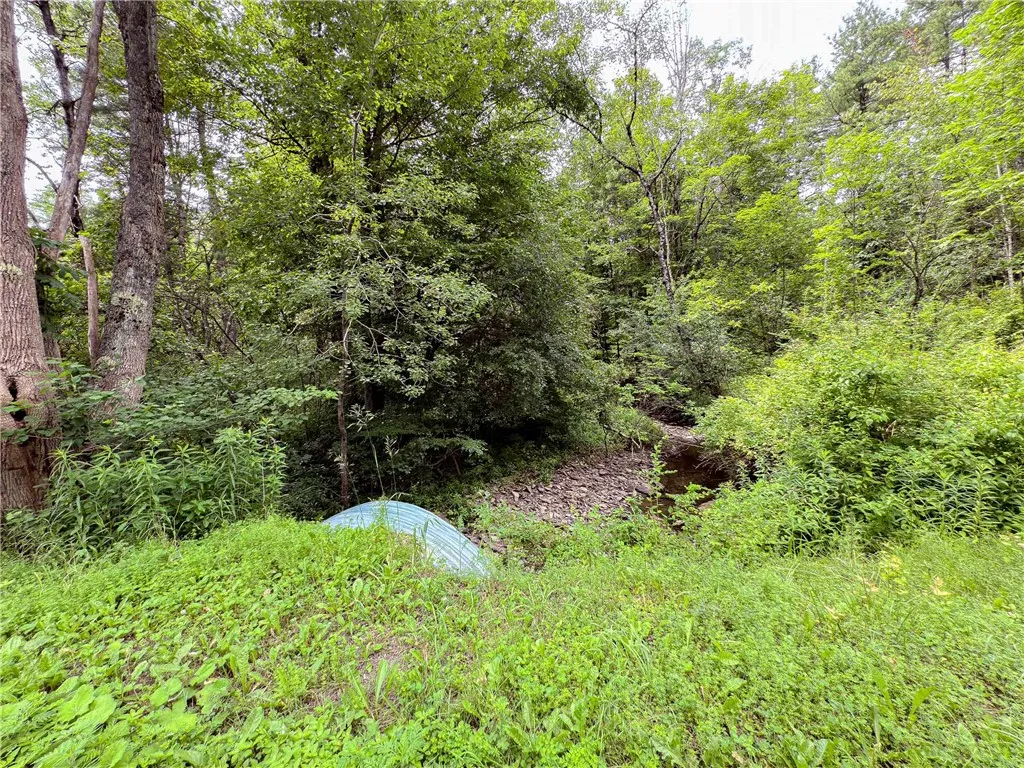 Sheff Road, New Berlin, New York 13843, New Berlin, New York 13843, ,Land,For Sale,Sheff Road, New Berlin, New York 13843,R1623995