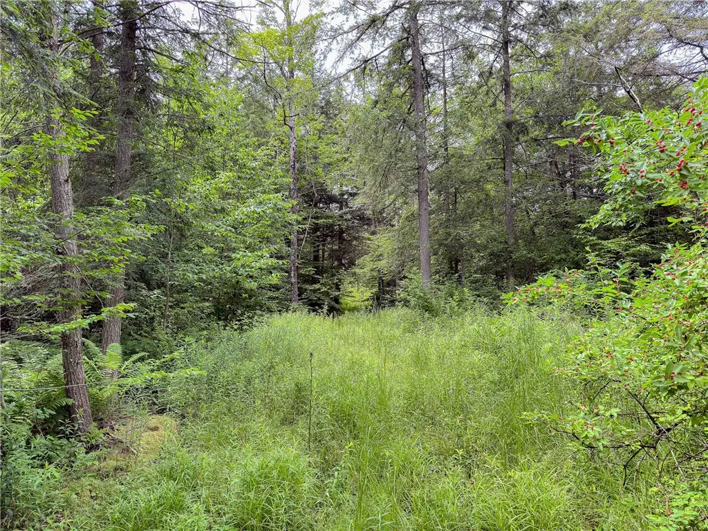 Sheff Road, New Berlin, New York 13843, New Berlin, New York 13843, ,Land,For Sale,Sheff Road, New Berlin, New York 13843,R1623995