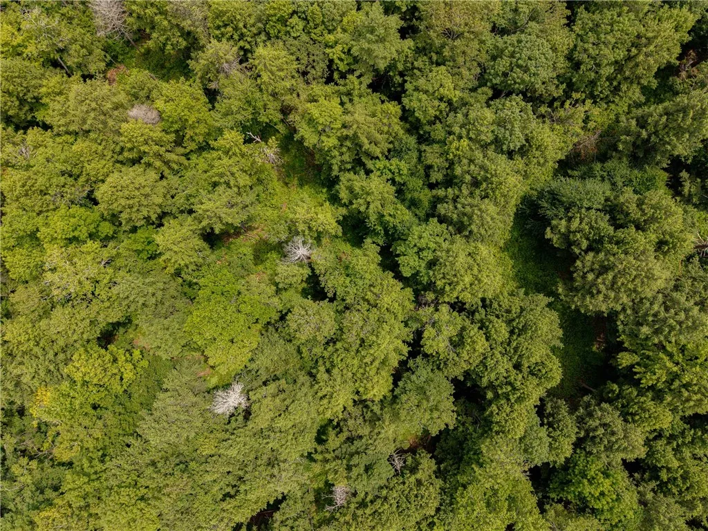 Sheff Road, New Berlin, New York 13843, New Berlin, New York 13843, ,Land,For Sale,Sheff Road, New Berlin, New York 13843,R1623995