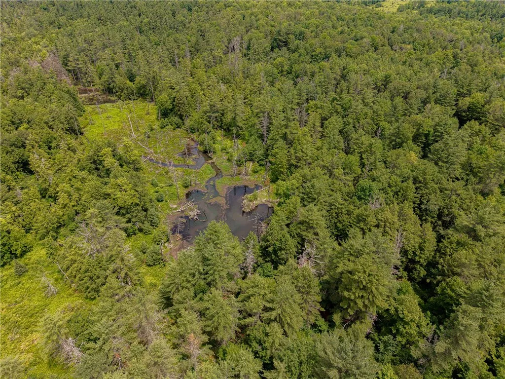 Sheff Road, New Berlin, New York 13843, New Berlin, New York 13843, ,Land,For Sale,Sheff Road, New Berlin, New York 13843,R1623995