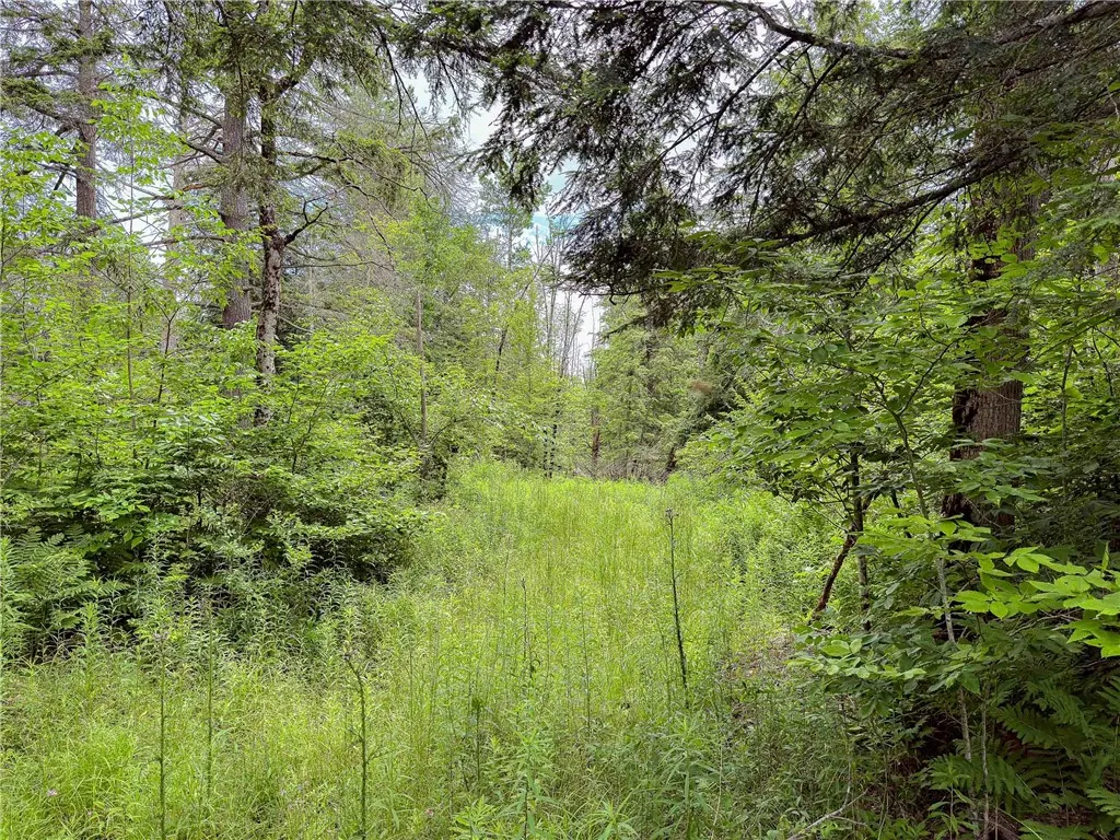 Sheff Road, New Berlin, New York 13843, New Berlin, New York 13843, ,Land,For Sale,Sheff Road, New Berlin, New York 13843,R1623995