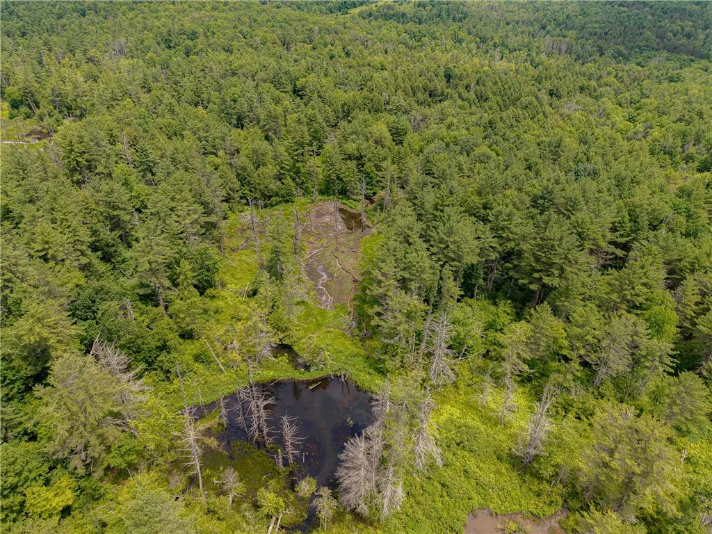 Sheff Road, New Berlin, New York 13843, New Berlin, New York 13843, ,Land,For Sale,Sheff Road, New Berlin, New York 13843,R1623995