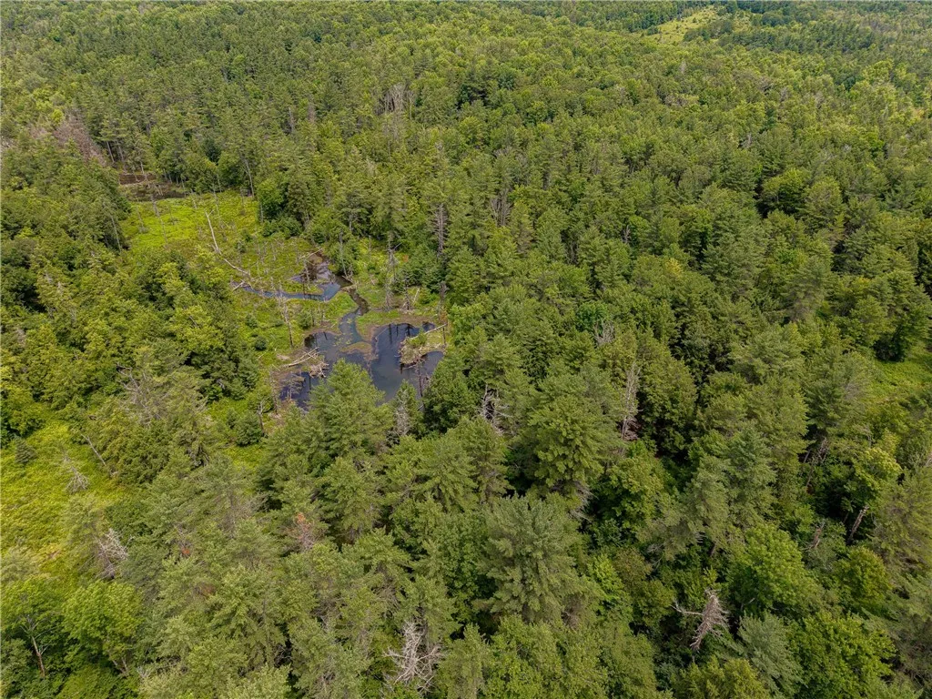 Sheff Road, New Berlin, New York 13843, New Berlin, New York 13843, ,Land,For Sale,Sheff Road, New Berlin, New York 13843,R1623995