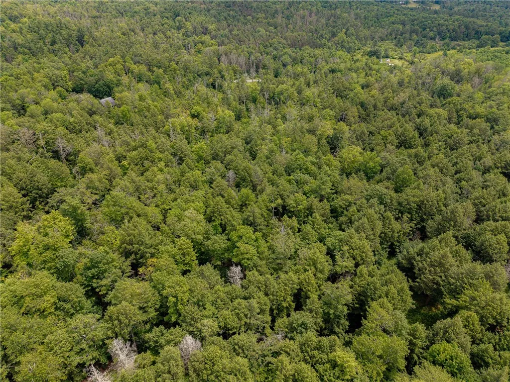 Sheff Road, New Berlin, New York 13843, New Berlin, New York 13843, ,Land,For Sale,Sheff Road, New Berlin, New York 13843,R1623995