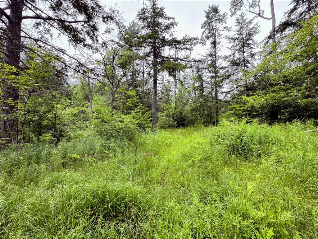 Sheff Road, New Berlin, New York 13843, New Berlin, New York 13843, ,Land,For Sale,Sheff Road, New Berlin, New York 13843,R1623995