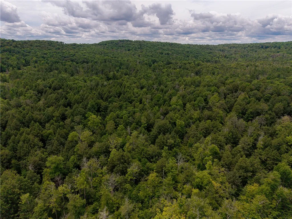 Sheff Road, New Berlin, New York 13843, New Berlin, New York 13843, ,Land,For Sale,Sheff Road, New Berlin, New York 13843,R1623995