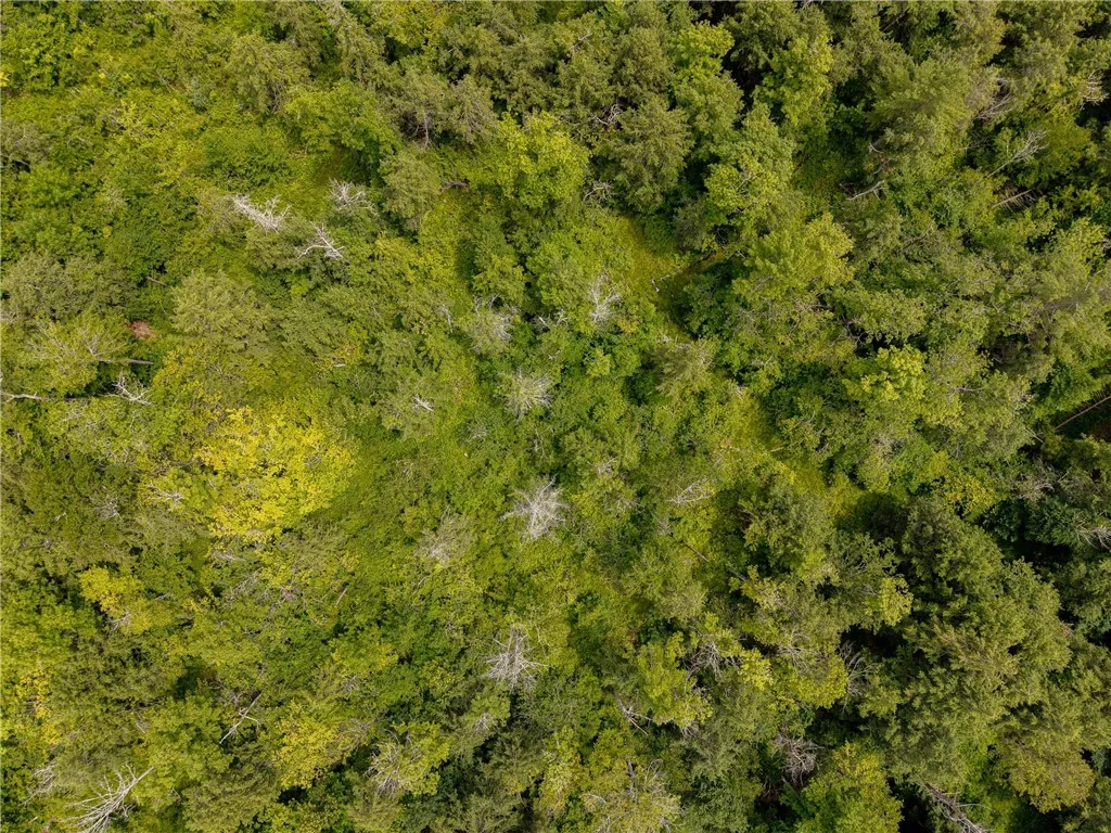 Sheff Road, New Berlin, New York 13843, New Berlin, New York 13843, ,Land,For Sale,Sheff Road, New Berlin, New York 13843,R1623995