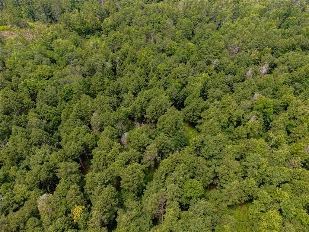 Sheff Road, New Berlin, New York 13843, New Berlin, New York 13843, ,Land,For Sale,Sheff Road, New Berlin, New York 13843,R1623995