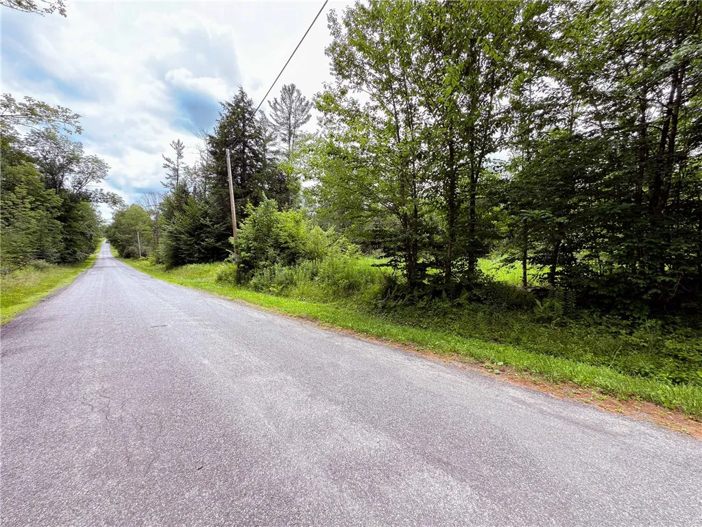 Sheff Road, New Berlin, New York 13843, New Berlin, New York 13843, ,Land,For Sale,Sheff Road, New Berlin, New York 13843,R1623995