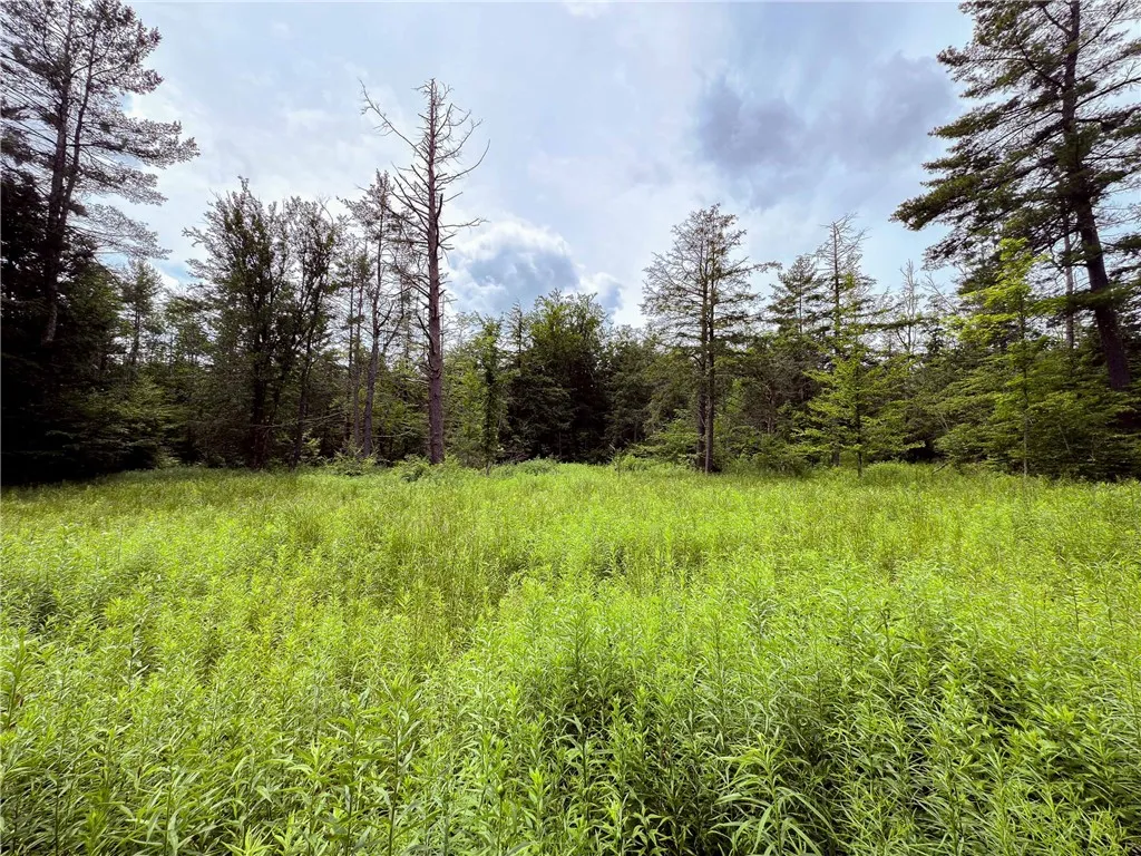 Sheff Road, New Berlin, New York 13843, New Berlin, New York 13843, ,Land,For Sale,Sheff Road, New Berlin, New York 13843,R1623995
