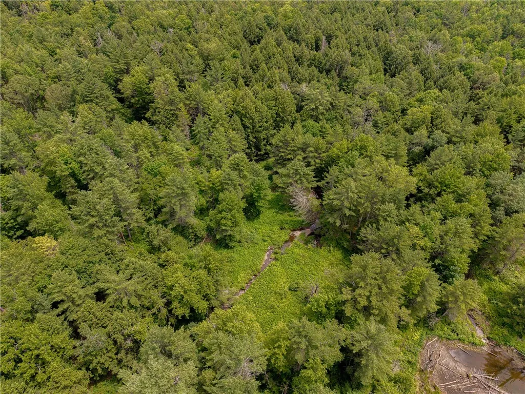Sheff Road, New Berlin, New York 13843, New Berlin, New York 13843, ,Land,For Sale,Sheff Road, New Berlin, New York 13843,R1623995