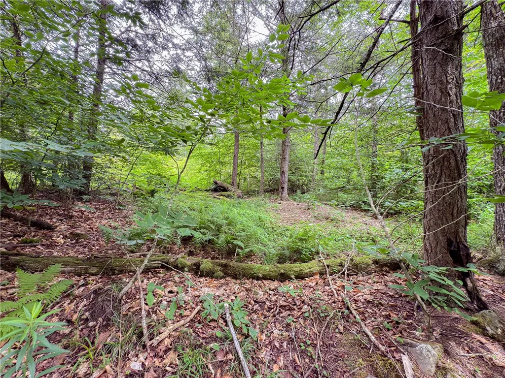 Sheff Road, New Berlin, New York 13843, New Berlin, New York 13843, ,Land,For Sale,Sheff Road, New Berlin, New York 13843,R1623995