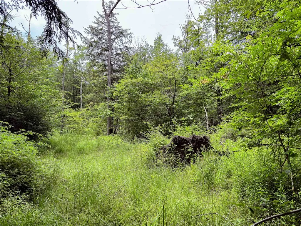 Sheff Road, New Berlin, New York 13843, New Berlin, New York 13843, ,Land,For Sale,Sheff Road, New Berlin, New York 13843,R1623995