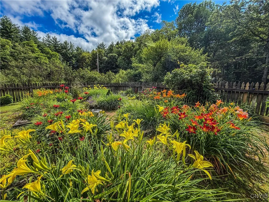 Perennial garden