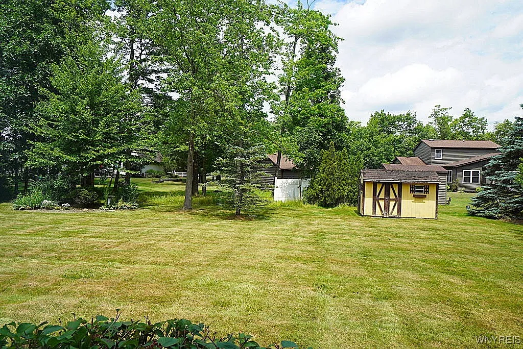 Nice size yard