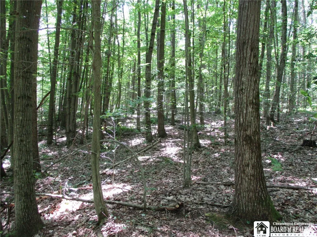 Snowball Hollow Road, Scio, New York 14880, Scio, New York 14880, ,Land,For Sale,Snowball Hollow Road, Scio, New York 14880,R1623910