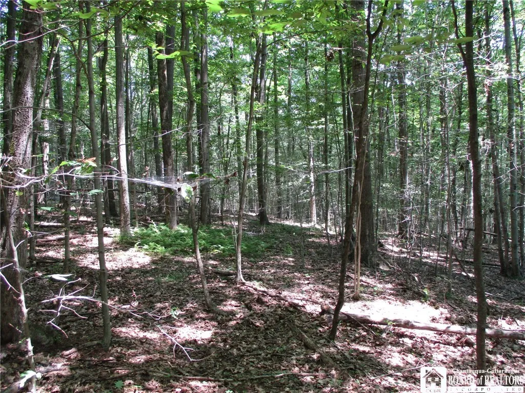 Snowball Hollow Road, Scio, New York 14880, Scio, New York 14880, ,Land,For Sale,Snowball Hollow Road, Scio, New York 14880,R1623910
