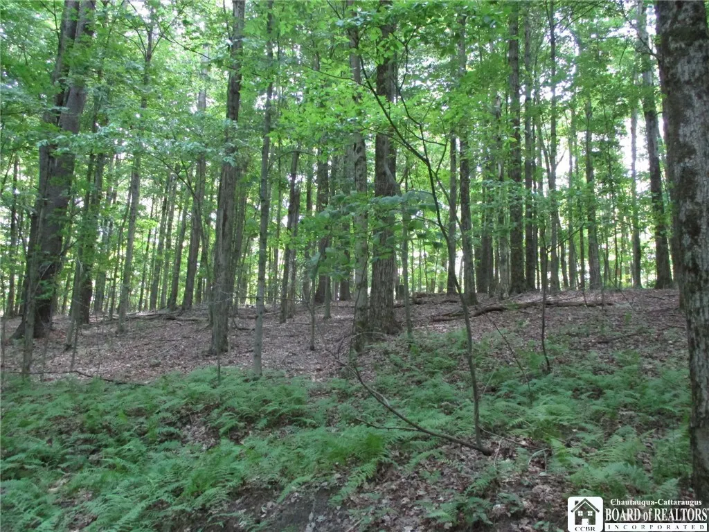Snowball Hollow Road, Scio, New York 14880, Scio, New York 14880, ,Land,For Sale,Snowball Hollow Road, Scio, New York 14880,R1623910